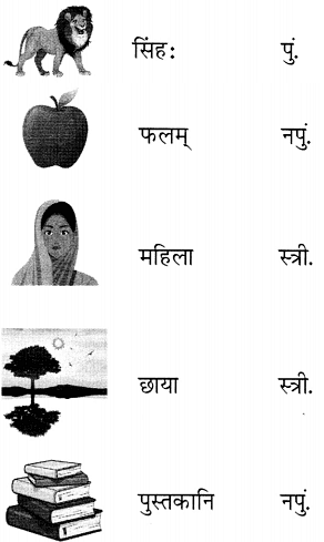 NCERT Solutions: पृथिव्यां त्रीणि रत्नानि