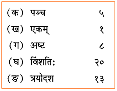 NCERT Solutions: सङ्ख्यागणना ननु सरला