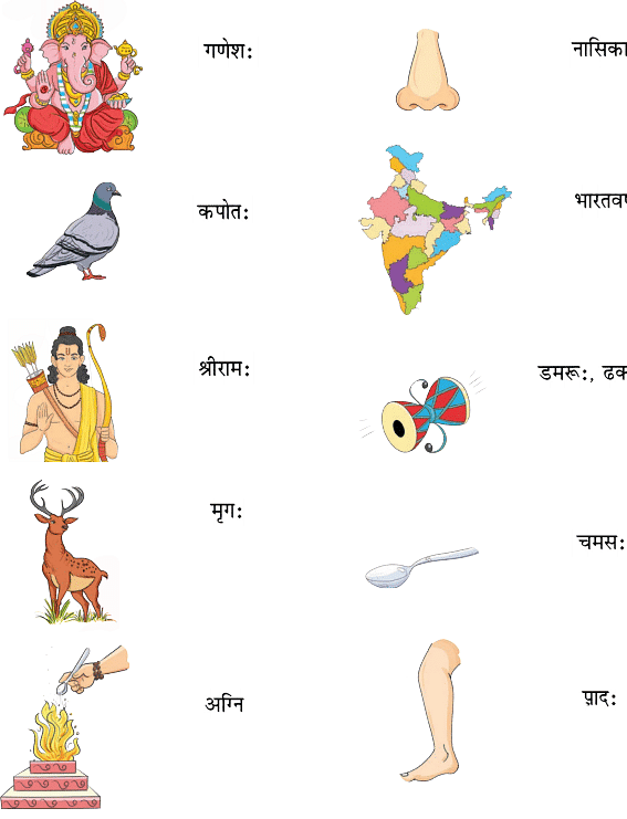 NCERT Solutions: वयं वर्णमालां पठामः