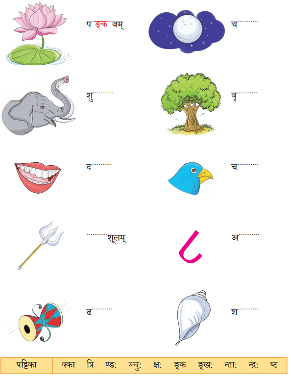 NCERT Solutions: वयं वर्णमालां पठामः