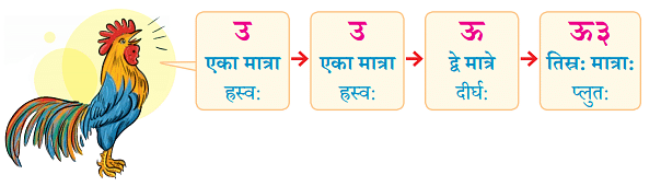 NCERT Solutions: वयं वर्णमालां पठामः