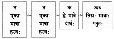 NCERT Solutions: वयं वर्णमालां पठामः