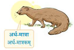 NCERT Solutions: वयं वर्णमालां पठामः