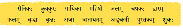 NCERT Solutions: एष: क: ? एषा का ? एतत् किम् ?