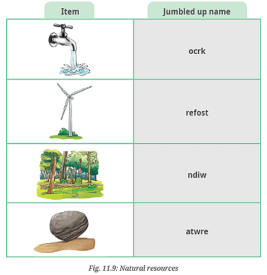 NCERT Solutions: Nature`s Treasures