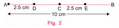 NCERT Solutions: Playing with Constructions