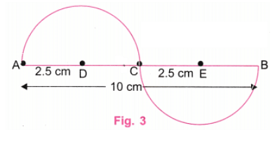 NCERT Solutions: Playing with Constructions