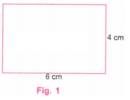 NCERT Solutions: Playing with Constructions