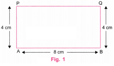 NCERT Solutions: Playing with Constructions