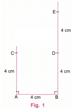 NCERT Solutions: Playing with Constructions