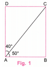 NCERT Solutions: Playing with Constructions