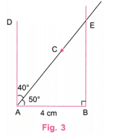 NCERT Solutions: Playing with Constructions