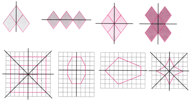 NCERT Solutions: Symmetry