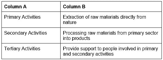 Worksheet: Economic Activities Around Us